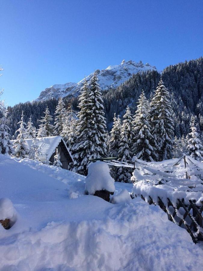Apartments Oberhollenzer Braies  Zewnętrze zdjęcie